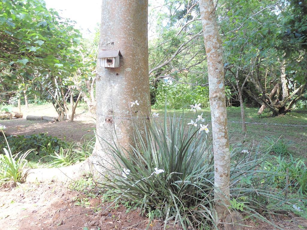 Pousada Recanto dos Pássaros Cunha Exterior foto